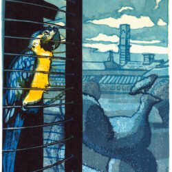 Birmingham Botanical Gardens